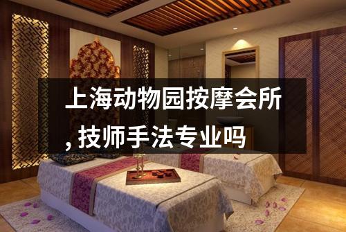 上海动物园按摩会所, 技师手法专业吗