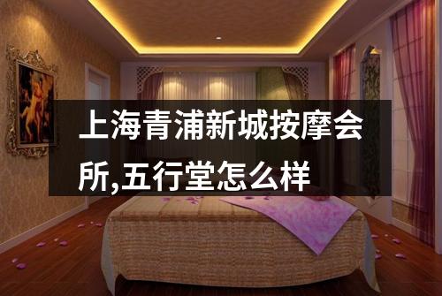 上海青浦新城按摩会所,五行堂怎么样