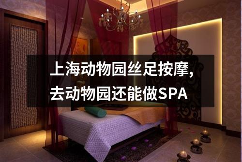 上海动物园丝足按摩,去动物园还能做SPA